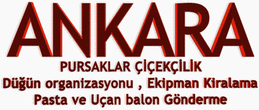 Ankara iek Gnder