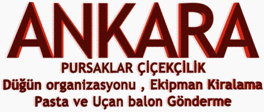Ankara �i�ek G�nder