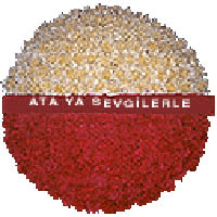 arma anitkabire - mozele i�in  Ankara �i�ek g�nderme sitemiz g�venlidir 