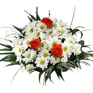 krizantemler beyaz ve g�ller  Ankara �Pursaklar i�ek , �i�ek�i , �i�ek�ilik 