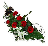 7 adet g�l ve kazablanka   Ankara ucuz �i�ek g�nder 