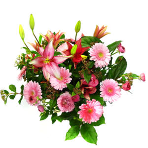 lilyum ve gerbera �i�ekleri - �i�ek se�imi -  Ankara �i�ek g�nderme 