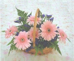 gerbera �i�eklerinde sepet   Ankara Pursaklar �i�ek yolla 