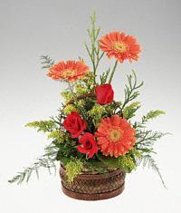  Ankara Pursaklar cicekciler , cicek siparisi  sepet i�erisinde 3 g�l ve 3 gerbera tanzimi