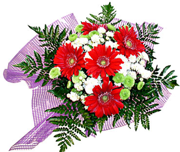 gerbera ve krizantem demeti  Ankara �i�ek�i ma�azas� 