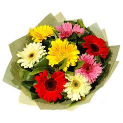 9 adet karisik gerbera demeti  Ankara Pursaklar �i�ek ma�azas� , �i�ek�i adresleri 