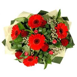  Ankara ucuz �i�ek g�nder   5 adet kirmizi g�l 5 adet gerbera demeti
