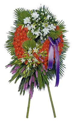  Ankara cicek , cicekci  cenaze �elengi