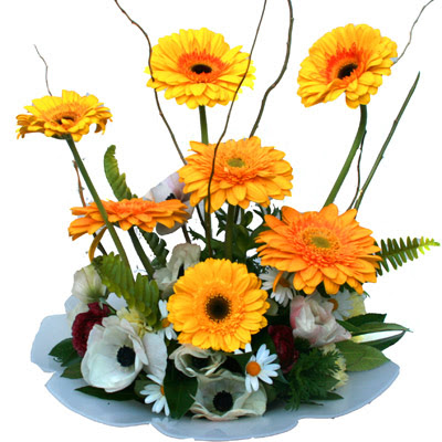 camda gerbera ve mis kokulu kir �i�ekleri  Ankara Pursaklar �i�ek�i telefonlar� 