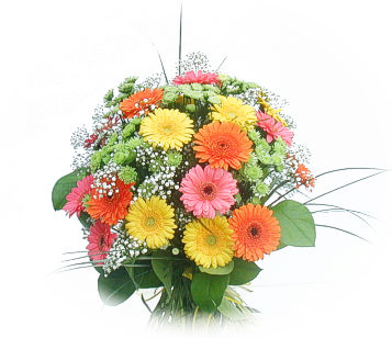 13 adet gerbera �i�egi buketi  Ankara Pursaklar online �i�ek g�nderme sipari� 