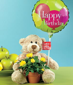  Ankara �i�ek�i ma�azas�  Ayicik balon ve saksida sari g�ller