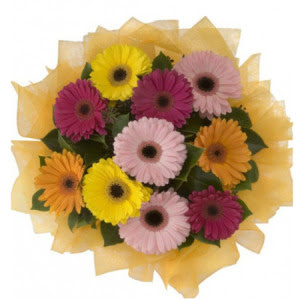  Ankara Pursaklar hediye �i�ek yolla  11 adet kar���k gerbera �i�e�i buketi