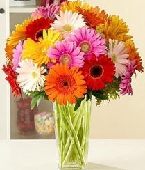  Ankara �i�ek servisi , �i�ek�i adresleri  15 adet gerbera �i�ek vazosu