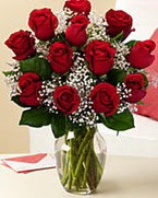 Sevgilime hediye 9 adet 1.ci kalite g�l  Ankara anneler g�n� �i�ek yolla 