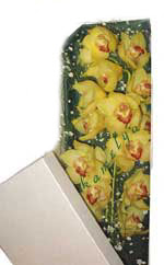  Ankara �i�ek g�nderme  Kutu i�erisine dal cymbidium orkide