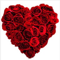  Ankara uluslararas� �i�ek g�nderme  19 adet k�rm�z� g�lden kalp tanzimi