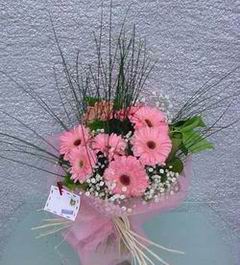  Ankara Pursaklar �nternetten �i�ek sipari�i  Pembe gerbera mevsim �i�ekleri