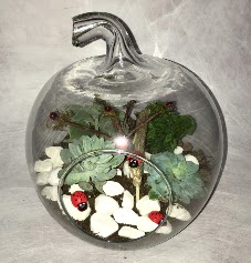 K���k terrarium elma 3 kakt�s  Ankara Pursaklar �i�ek ma�azas� , �i�ek�i adresleri 