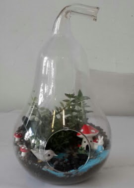 Armut orta boy cam terrarium  Ankara Pursaklar hediye �i�ek yolla 