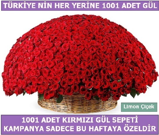 1001 Adet k�rm�z� g�l Bu haftaya �zel  Ankara Pursaklar hediye �i�ek yolla 