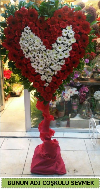 Co�kulu bir a�k �i�e�i  Ankara ucuz �i�ek g�nder 