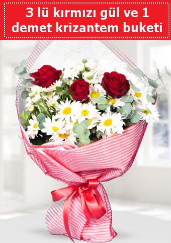 3 adet k�rm�z� g�l ve krizantem buketi  Ankara �i�ek g�nderme sitemiz g�venlidir 