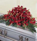 �elenk son yolculuk g�l lilyumdan  Ankara �i�ek�i ma�azas� 