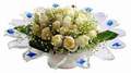 cam g�nes ve dolunay bembeyaz  Ankara �Pursaklar i�ek , �i�ek�i , �i�ek�ilik 