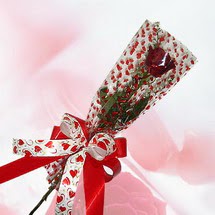 tek bir adet g�l seffafta   Ankara �i�ek�i ma�azas� 