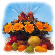 sepette gerbera ve meyvalar   Ankara �i�ek�i ma�azas� 