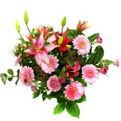 lilyum ve gerbera �i�ekleri - �i�ek se�imi -  Ankara �i�ek g�nderme 