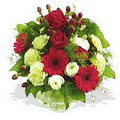 karanfil gerbera ve g�ller - d�s�nenelere �zel -  Ankara �i�ek g�nderme 
