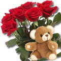 11 adet g�l ve ayicik buket   Ankara Pursaklar �i�ek yolla 