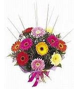 karisik gerbera �i�ekleri  Ankara Pursaklar �i�ek yolla 