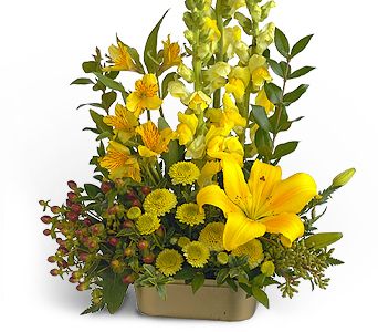 sarinin g�zel g�r�nt�s� aranjmani  Ankara Pursaklar cicekciler , cicek siparisi 