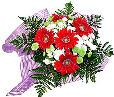 gerbera ve krizantem demeti  Ankara �i�ek�i ma�azas� 