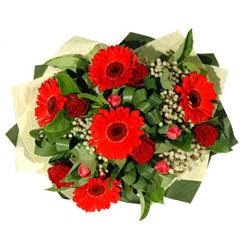  Ankara ucuz �i�ek g�nder   5 adet kirmizi g�l 5 adet gerbera demeti