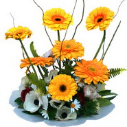 camda gerbera ve mis kokulu kir �i�ekleri  Ankara Pursaklar �i�ek�i telefonlar� 