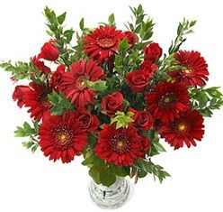 5 adet kirmizi g�l 5 adet gerbera aranjmani  Ankara Pursaklar �nternetten �i�ek sipari�i 