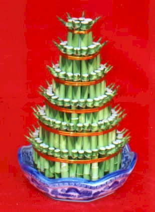 Lucky Bamboo sans melegi �i�egi  Ankara Pursaklar �i�ek�iler 