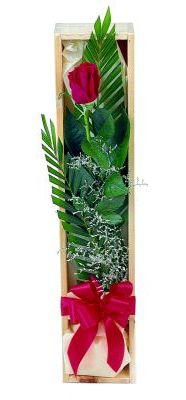 1 adet kutuda kirmizi g�l  Ankara �i�ek g�nderme sitemiz g�venlidir 