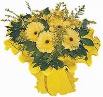  Ankara �i�ek�i ma�azas�  9 adet sari g�zel gerbera