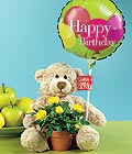  Ankara �i�ek�i ma�azas�  Ayicik balon ve saksida sari g�ller