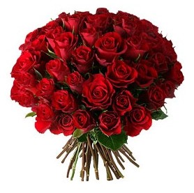  Ankara �Pursaklar i�ek , �i�ek�i , �i�ek�ilik  33 adet k�rm�z� g�l buketi