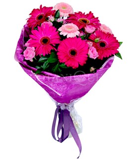  Ankara Pursaklar �i�ek sipari�i sitesi  kar���k gerbera �i�e�i buketi