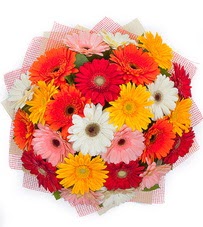 15 adet renkli gerbera buketi  Ankara yurti�i ve yurtd��� �i�ek sipari�i 