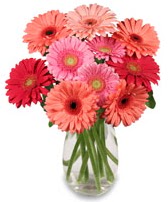 vazo i�erisinde 13 adet gerbera �i�e�i  Ankara Pursaklar �i�ek sipari�i sitesi 