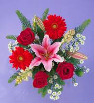  Ankara ucuz �i�ek g�nder  Gerbera g�l ve lilyum buketi