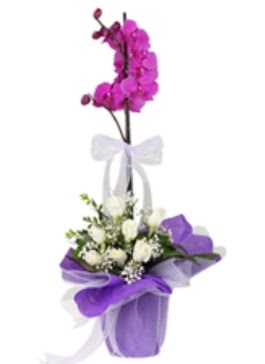 1 dal mor orkide ve 11 adet beyaz g�l  Ankara Pursaklar 14 �ubat sevgililer g�n� �i�ek 