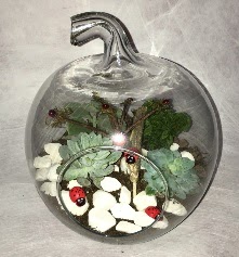 K���k terrarium elma 3 kakt�s  Ankara Pursaklar �i�ek ma�azas� , �i�ek�i adresleri 